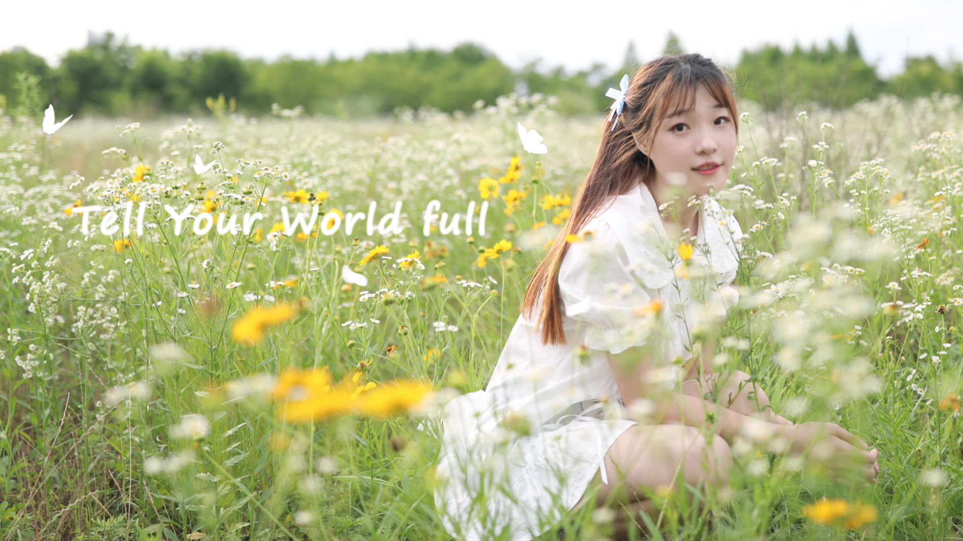 【啤梨】Tell Your World full ♪回归初心♪
